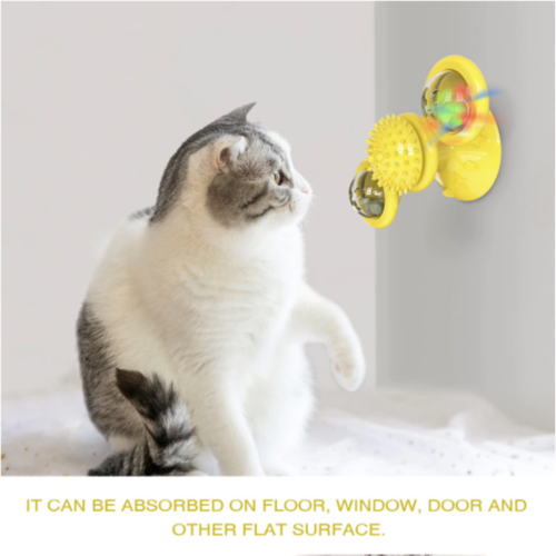 Artifact 019: Whirl Ball Pet Module