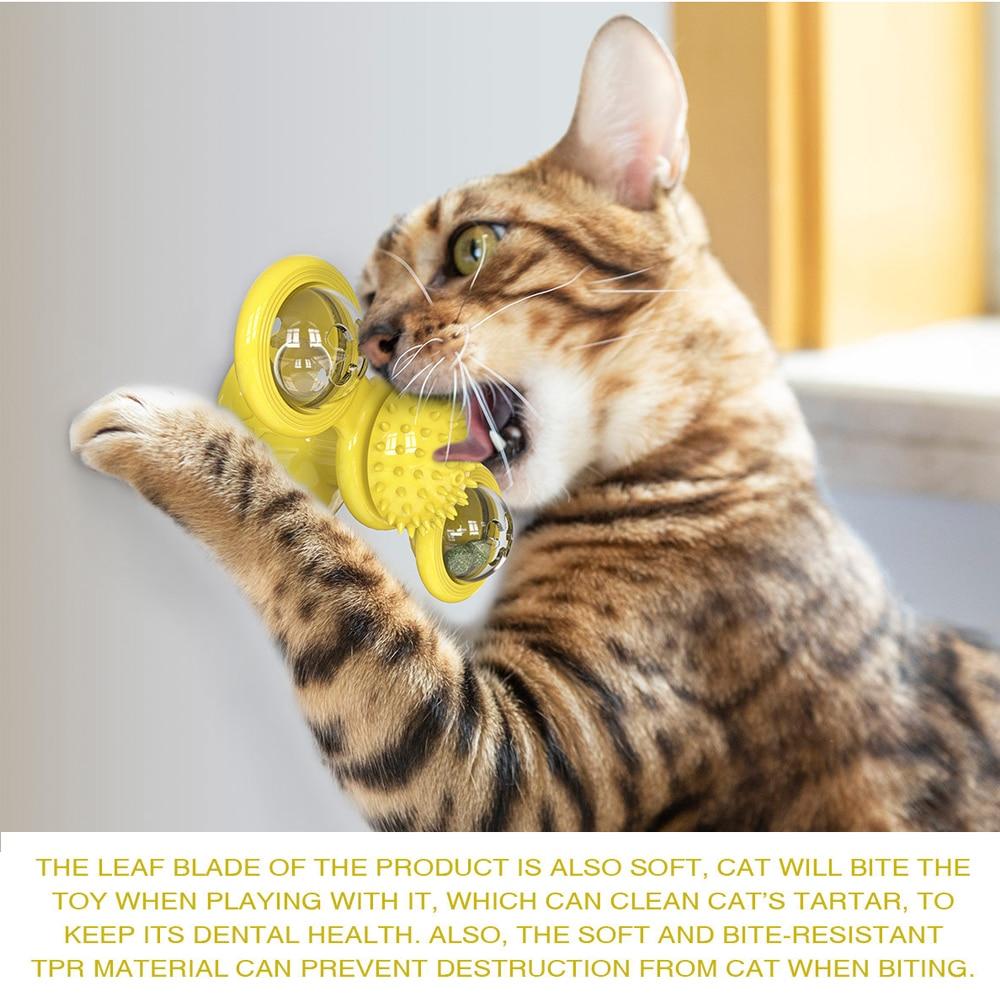 Artifact 019: Whirl Ball Pet Module